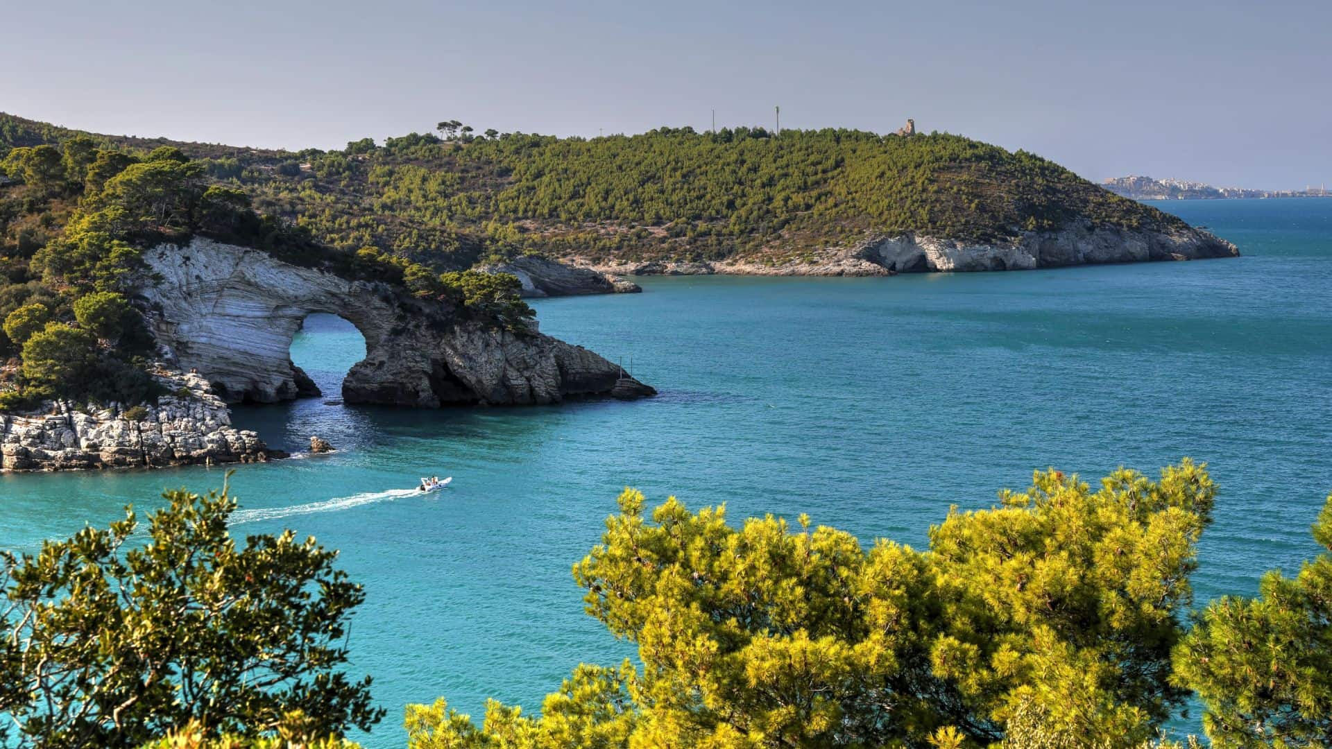 Panoramablick auf das Meer im Gargano. Foto von Gildo Cancelli