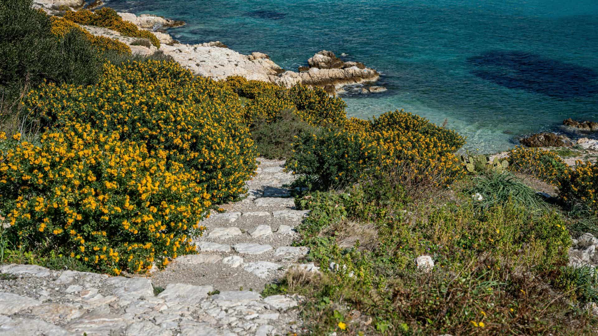 Ein Strand in Otranto in Apulien. Foto von Nadine Ginzel