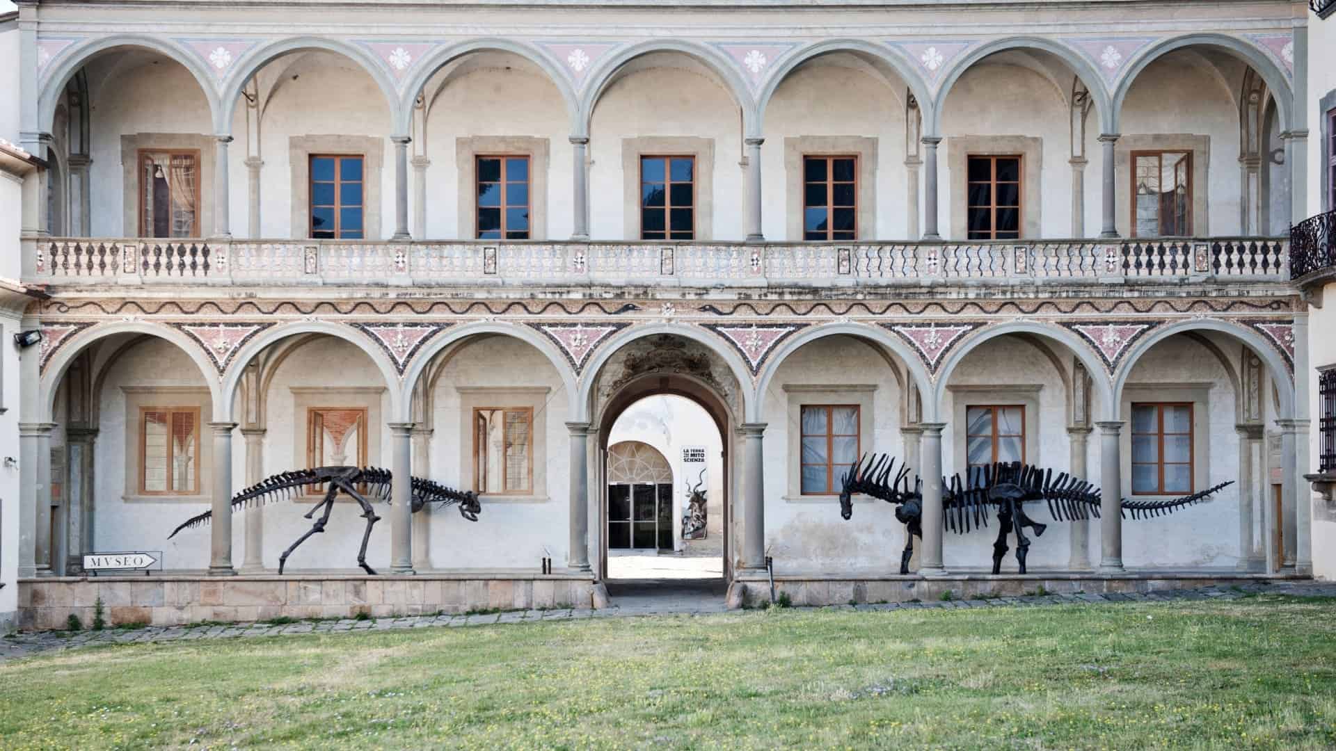 Das Naturkundemuseum von Calci in Pisa. Foto von Stefano Puzzuoli