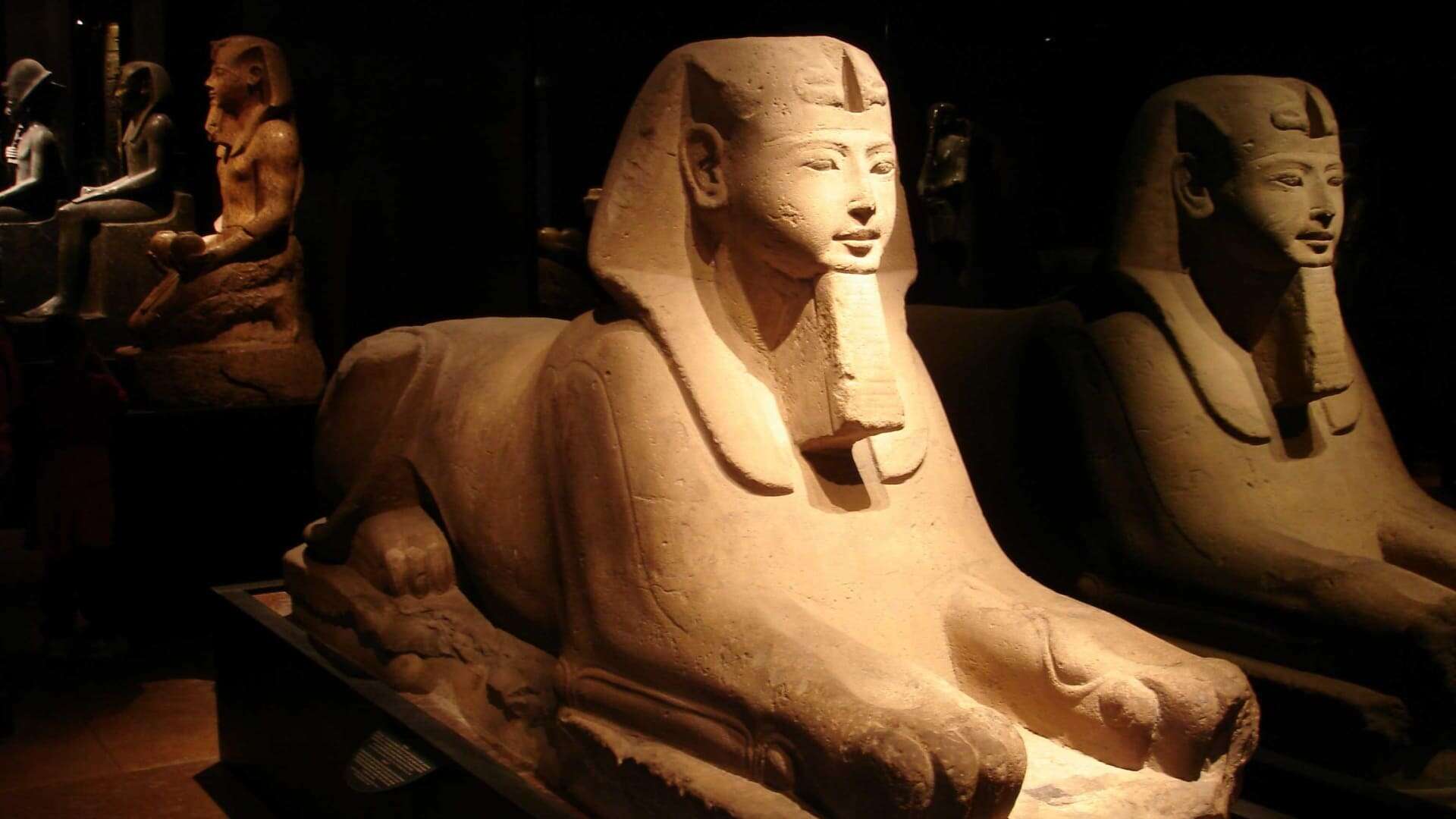 Zwei Sphingen des Ägyptischen Museums. Foto von Tim Adams