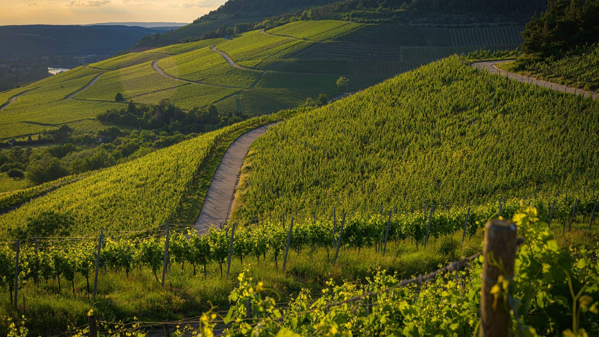 Landschaft von Valtellina in der Lombardei. Foto von Wirestock