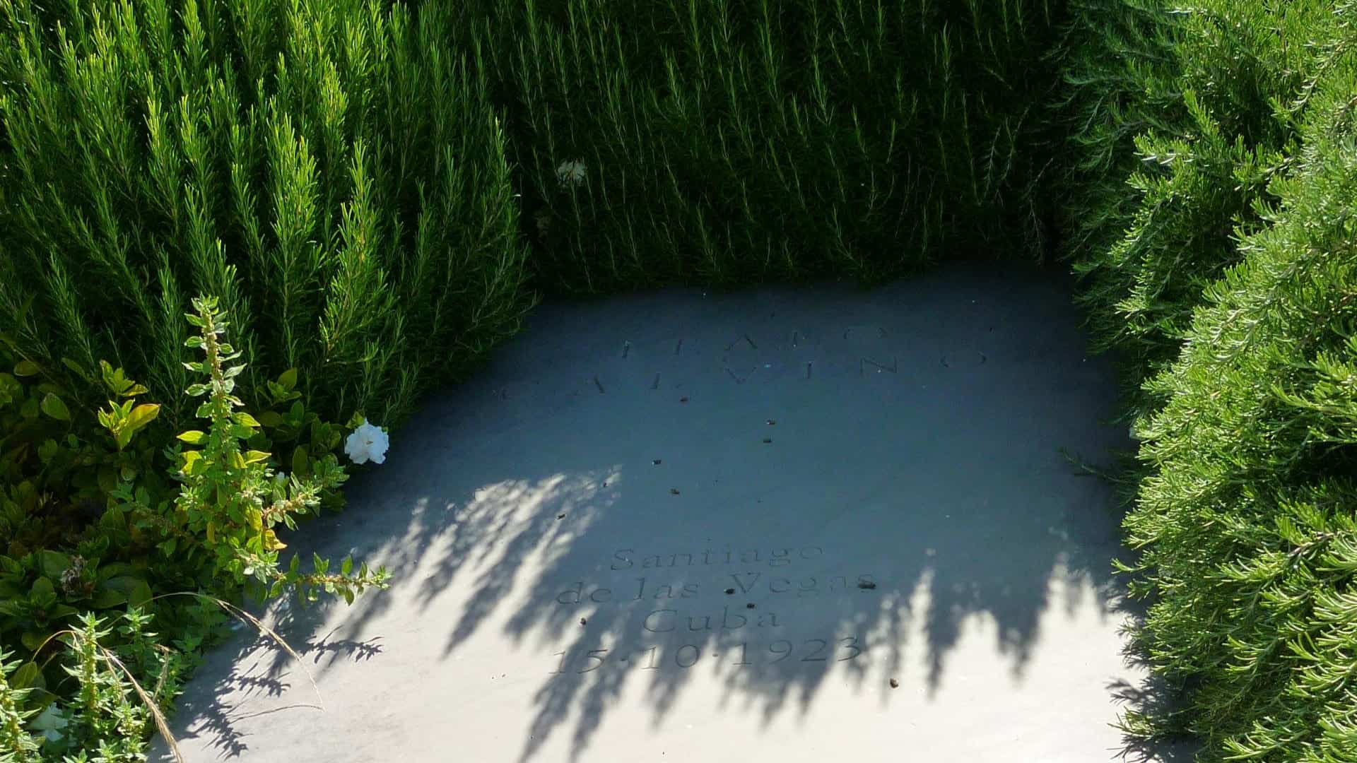 Das Grab von Italo Calvino. Foto von Aldo Ardetti