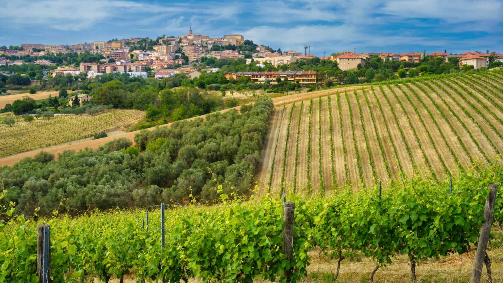 Die Stadt Camerano