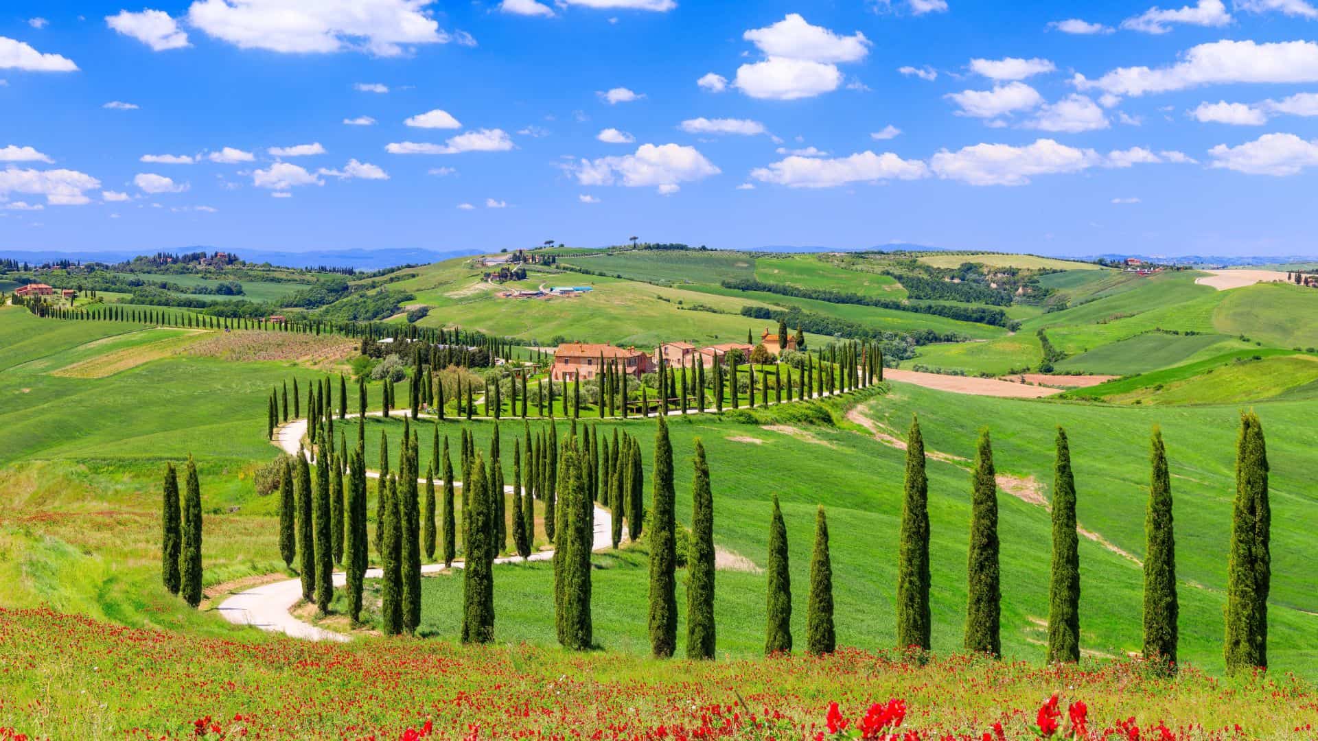 Typische hügelige Landschaft des Val D'Orcia