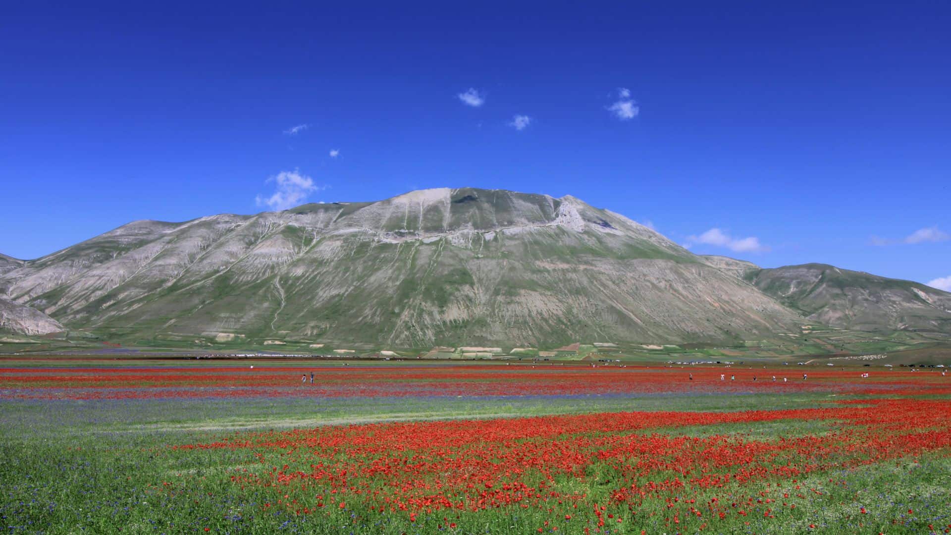 Umbrische Landschaft. Foto von sebastian ehgartner