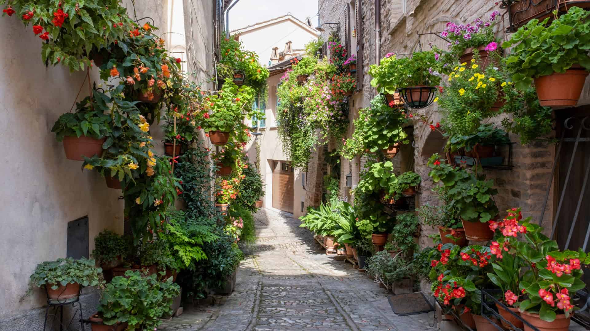 Eine mit Blumen geschmückte Straße in Spello