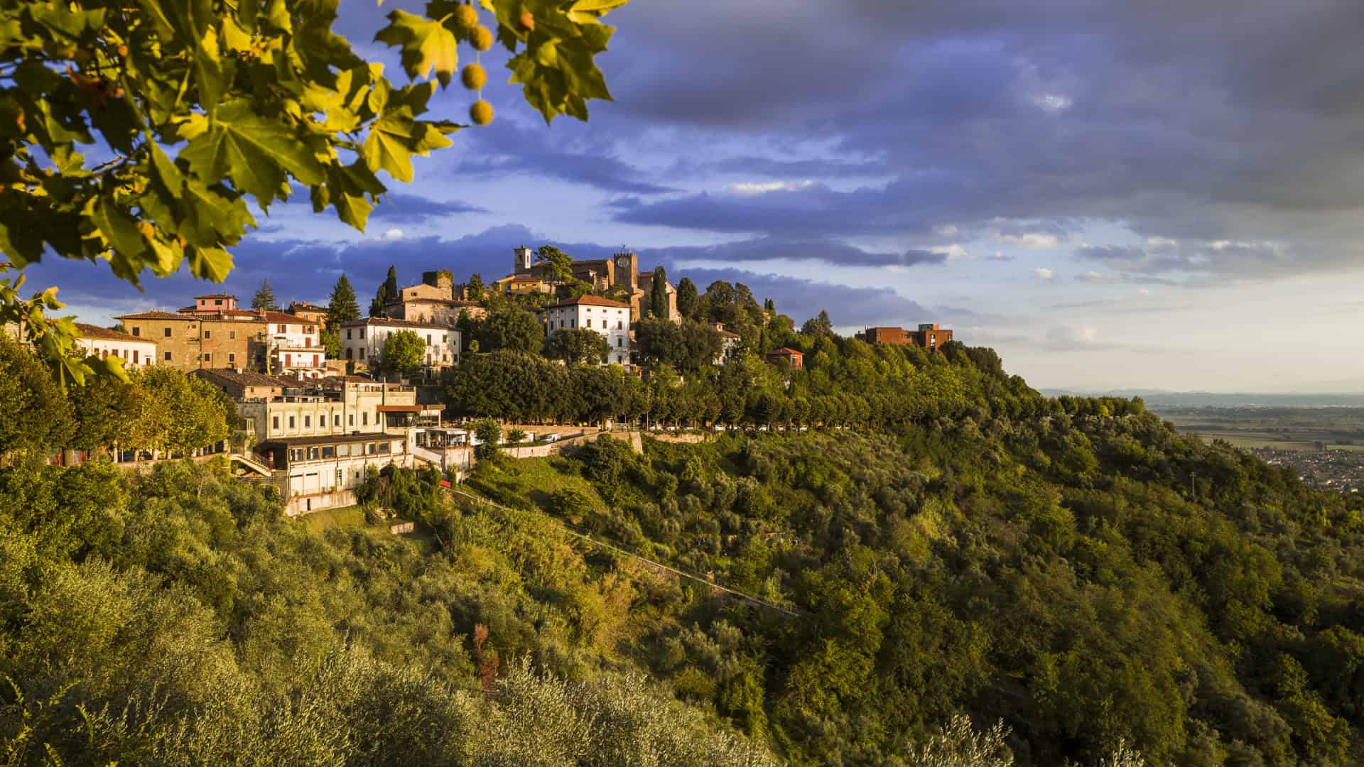Panoramablick auf Montecatini Alto