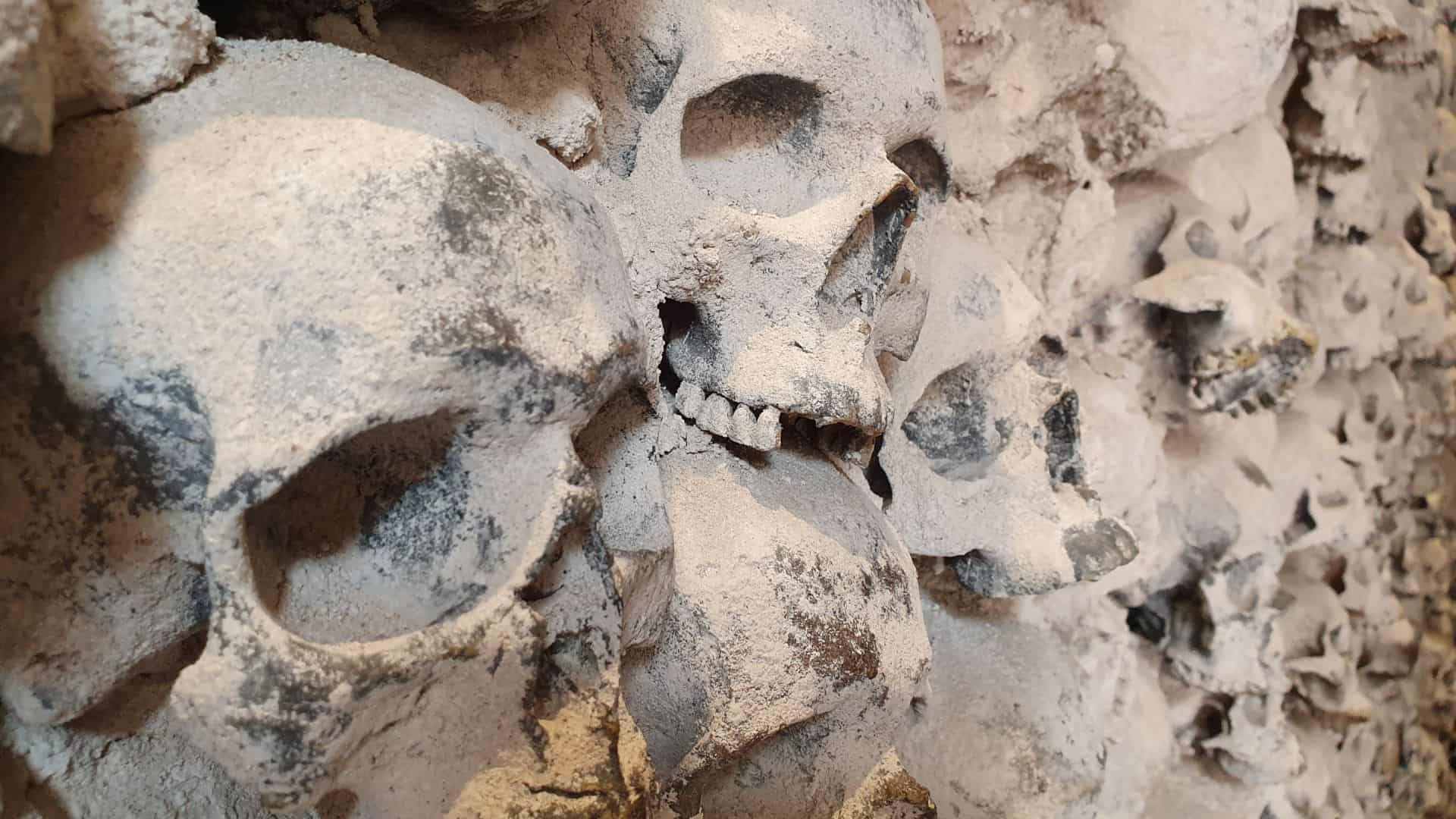 Schädel an der Wand im Foltermuseum von San Gimignano
