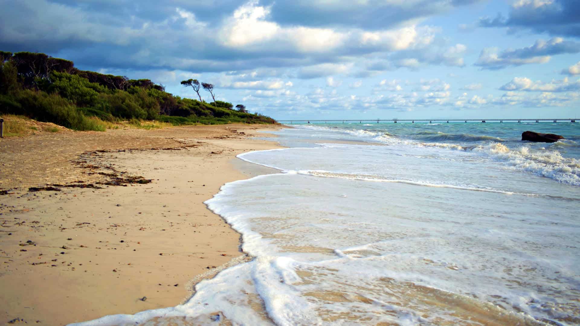 Der Strandbereich der Spiagge Bianche in Rosignano Solvay