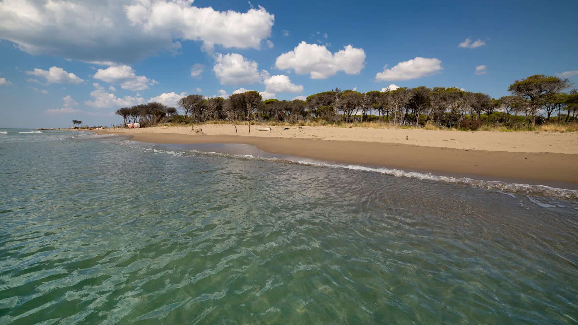 Das kristallklare Meer und der Strand von Marina di Alberese im Naturpark der Maremma