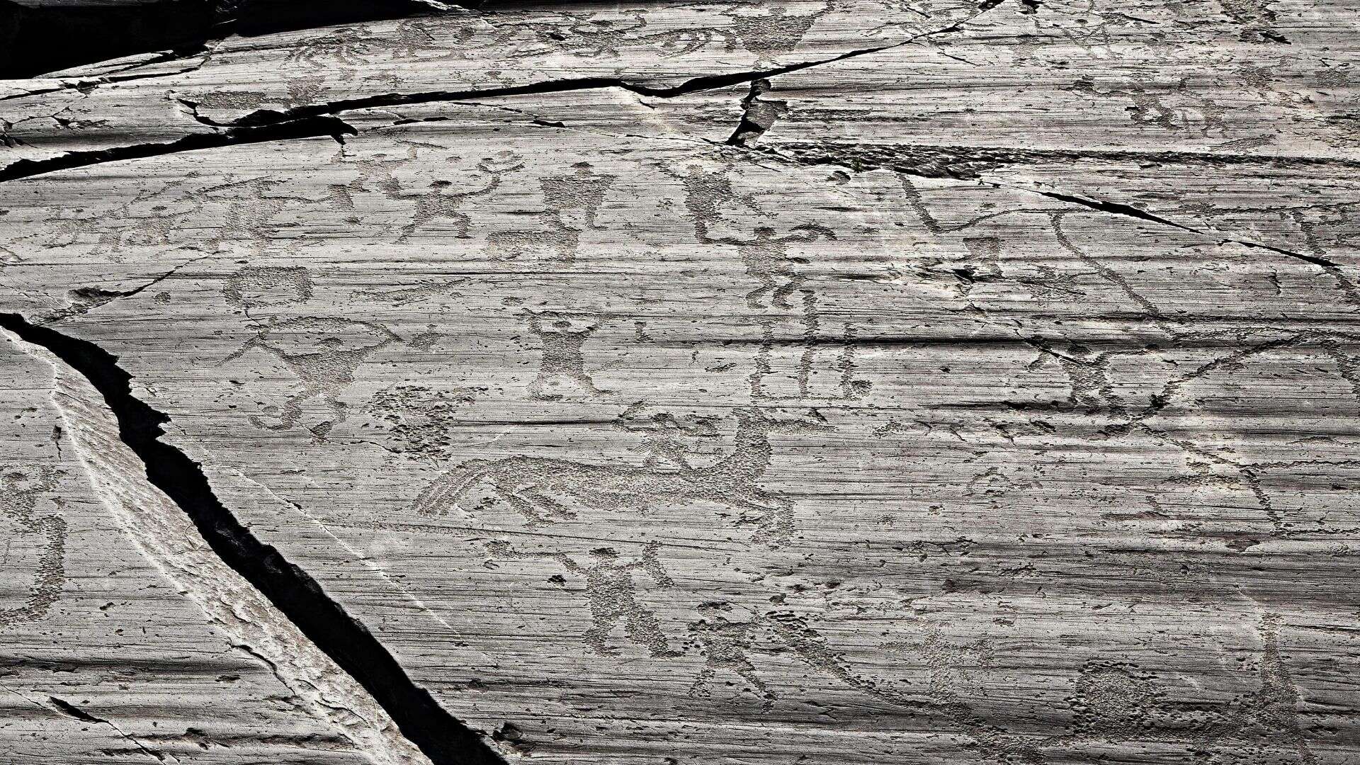 Detail einer Gravur im Nationalpark der Felsritzungen