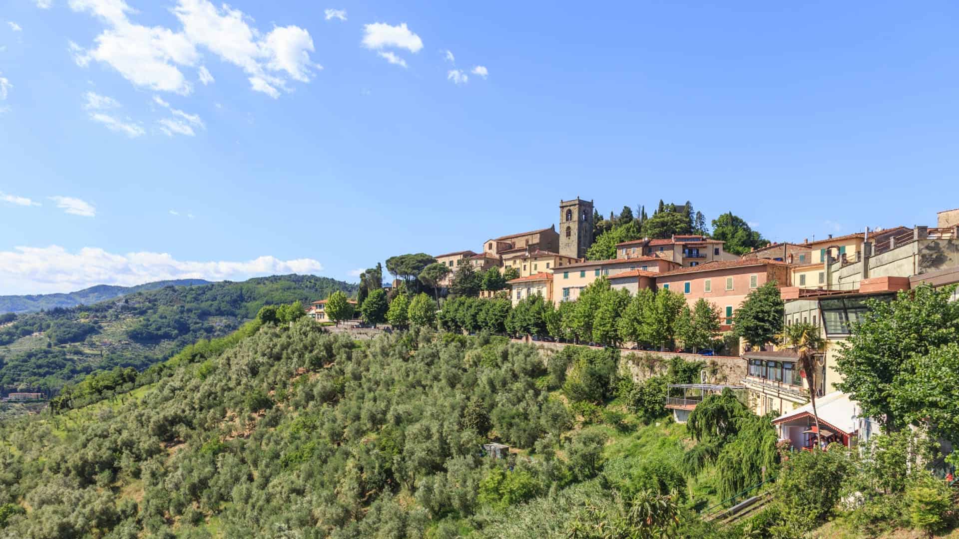Panoramablick auf das obere Montecatini Terme