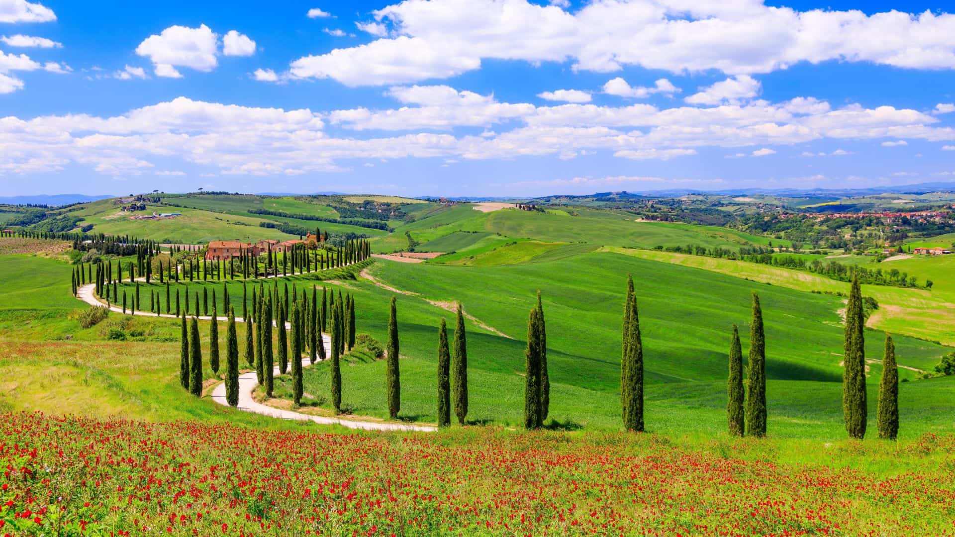 Landschaft des Val d'Orcia