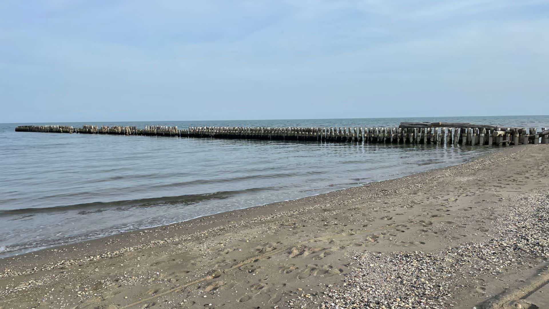 Spiaggia della Bassona in Emilia-Romagna