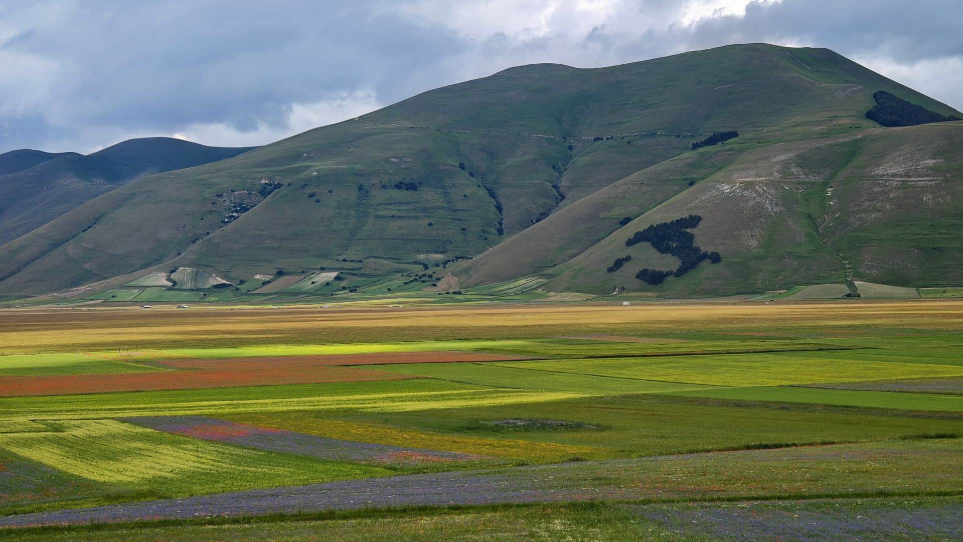 Typische Landschaft von Castelluccio di Norcia
