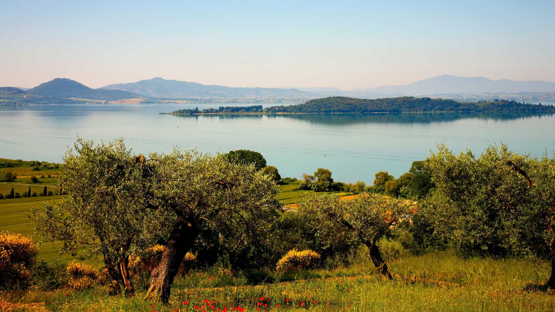 Panoramablick auf den Trasimenischen See