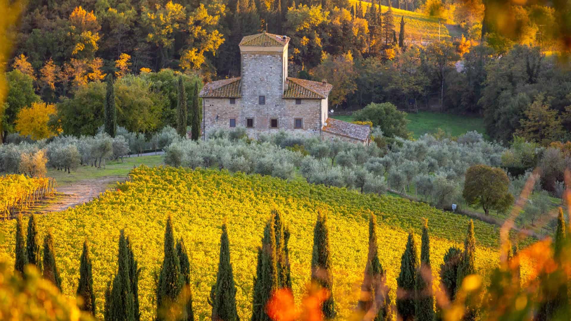 Eine von Grün umgebene Struktur im Chianti
